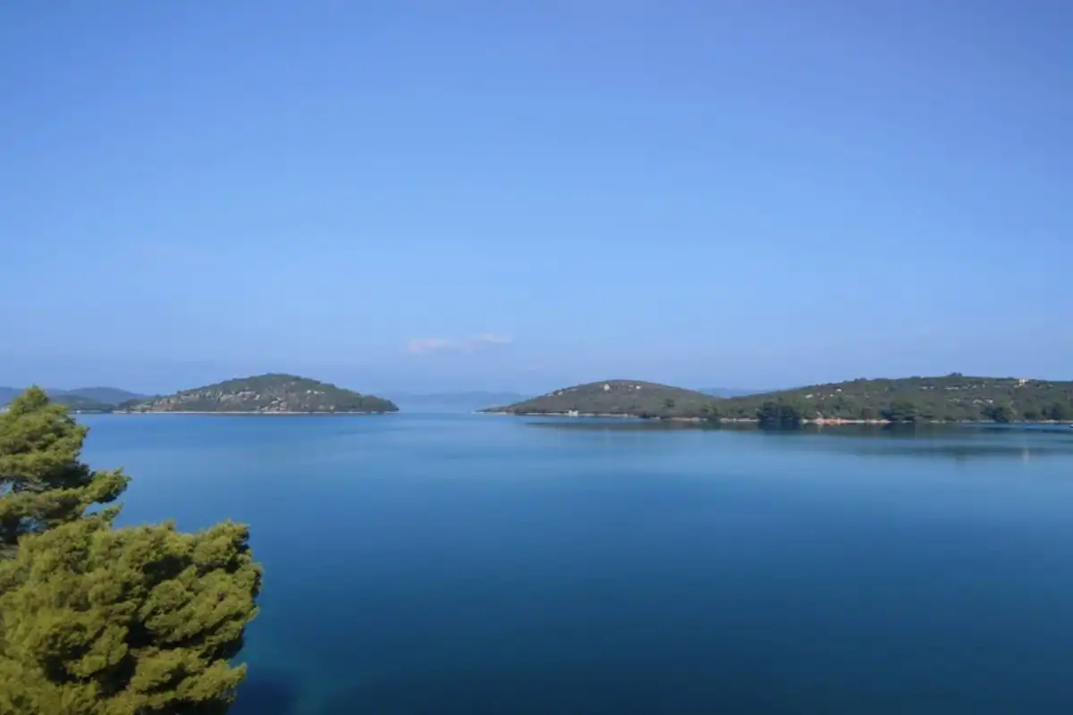 Apartments and studio apartments - Pansion Alen - Luka, Dugi otok